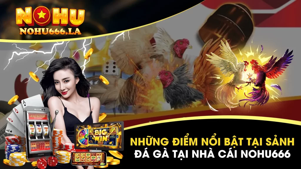 đá gà thomo 01