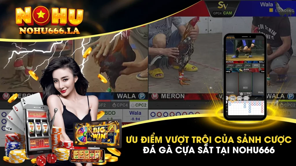 Đá gà cựa sắt  01